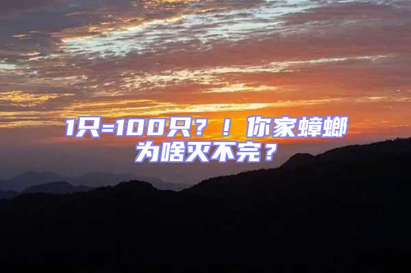 1只=100只？！你家蟑螂為啥滅不完？