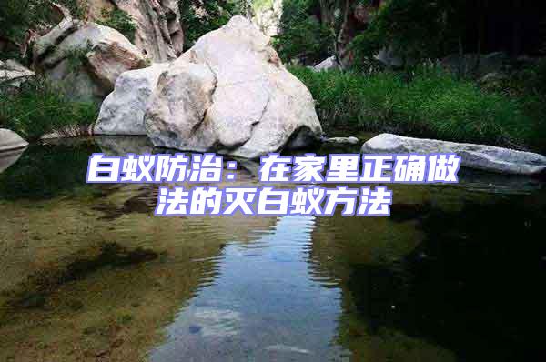 白蟻防治:在家里正確做法的滅白蟻方法