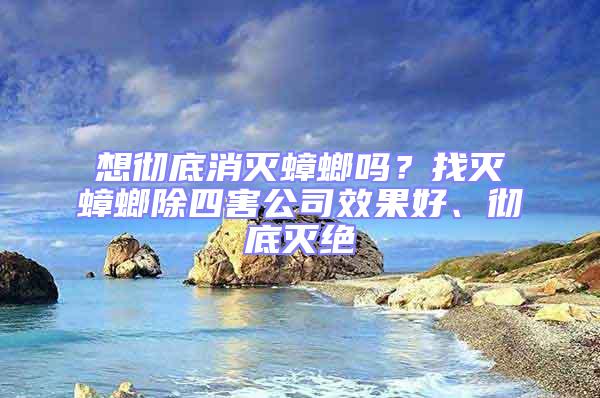想徹底消滅蟑螂嗎？找滅蟑螂除四害公司效果好、徹底滅絕
