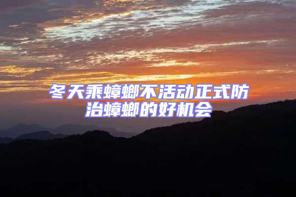 冬天乘蟑螂不活動(dòng)正式防治蟑螂的好機(jī)會(huì)