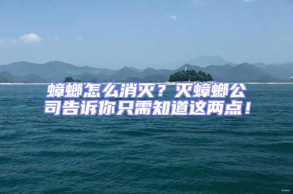 蟑螂怎么消滅?滅蟑螂公司告訴你只需知道這兩點!