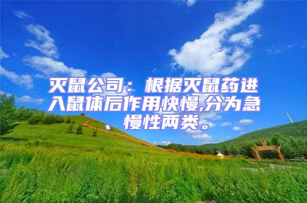 滅鼠公司:根據滅鼠藥進入鼠體后作用快慢,分為急、慢性兩類。