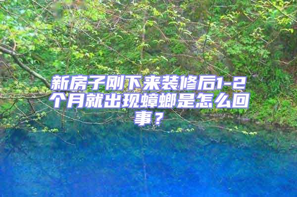 新房子剛下來裝修后1-2個月就出現蟑螂是怎么回事?