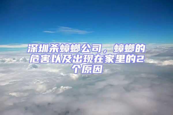 深圳殺蟑螂公司，蟑螂的危害以及出現(xiàn)在家里的2個原因