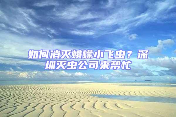 如何消滅蛾蠓小飛蟲?深圳滅蟲公司來幫忙