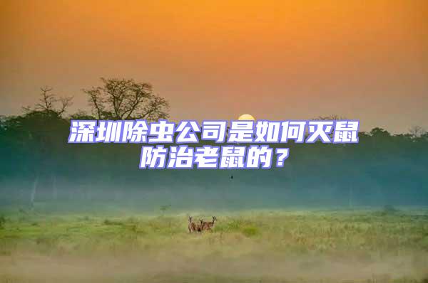 深圳除蟲公司是如何滅鼠防治老鼠的?
