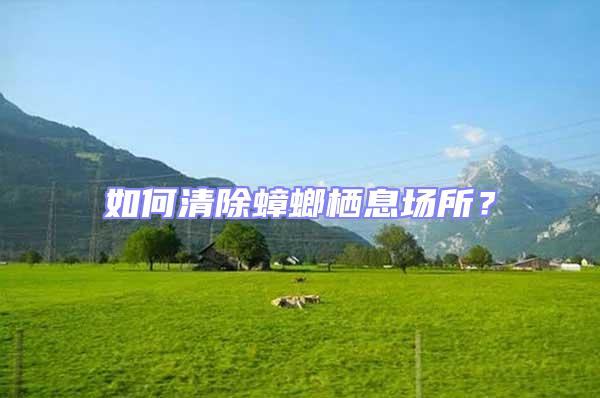 如何清除蟑螂棲息場所?