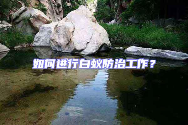 如何進行白蟻防治工作?