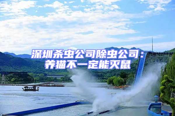 深圳殺蟲公司除蟲公司:養(yǎng)貓不一定能滅鼠