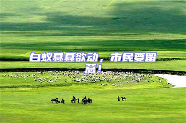 白蟻蠢蠢欲動,市民要留意!