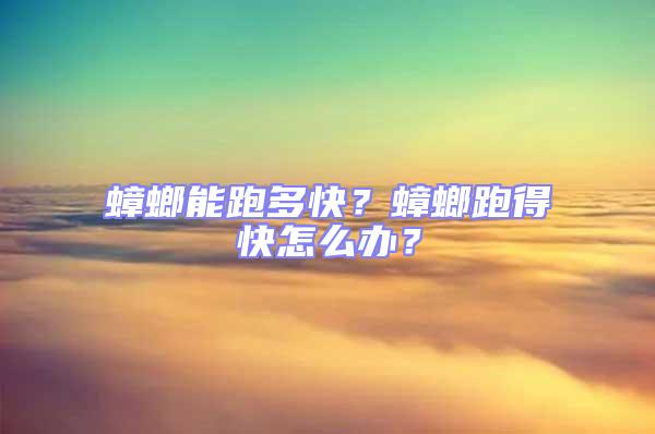 蟑螂能跑多快?蟑螂跑得快怎么辦?
