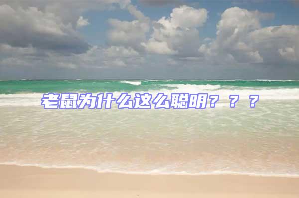 老鼠為什么這么聰明？？？