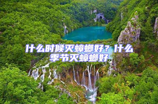 什么時候滅蟑螂好？什么季節滅蟑螂好