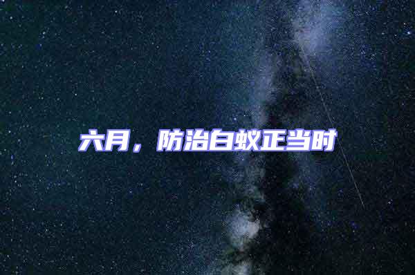 六月,防治白蟻正當時
