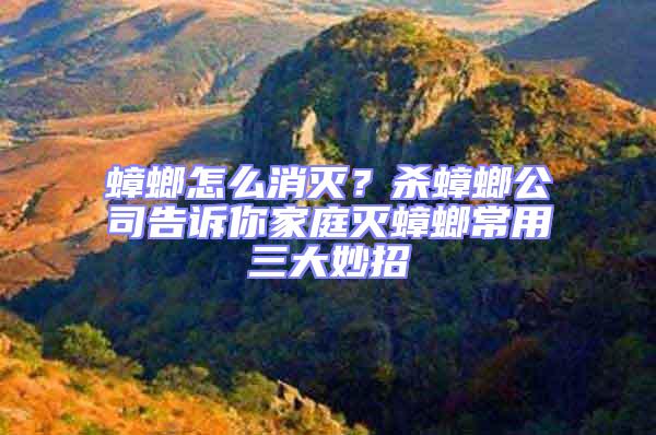 蟑螂怎么消滅?殺蟑螂公司告訴你家庭滅蟑螂常用三大妙招