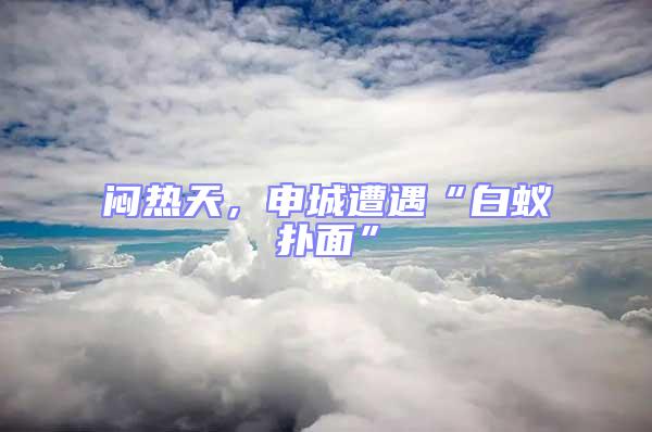 悶熱天，申城遭遇“白蟻撲面”