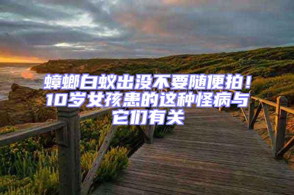 蟑螂白蟻出沒不要隨便拍!10歲女孩患的這種怪病與它們有關
