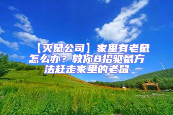 【滅鼠公司】家里有老鼠怎么辦?教你8招驅鼠方法趕走家里的老鼠
