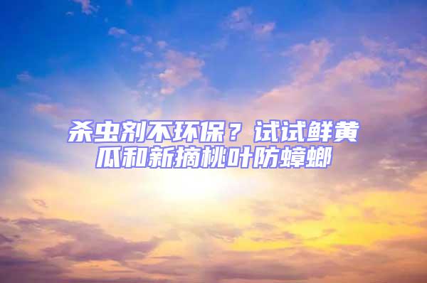 殺蟲劑不環保?試試鮮黃瓜和新摘桃葉防蟑螂