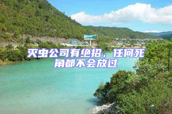滅蟲公司有絕招，任何死角都不會放過