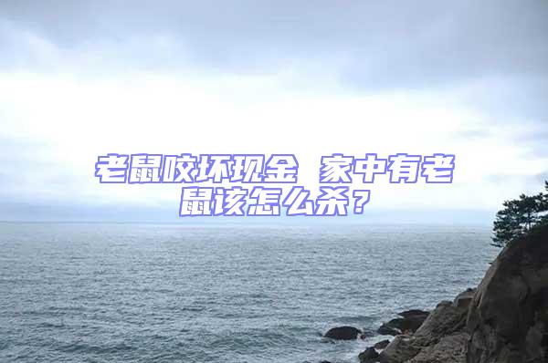 老鼠咬壞現金 家中有老鼠該怎么殺？