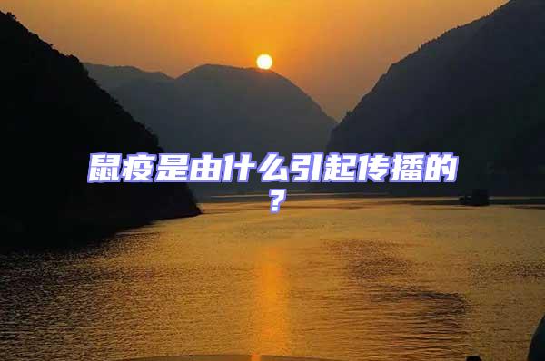 鼠疫是由什么引起傳播的？