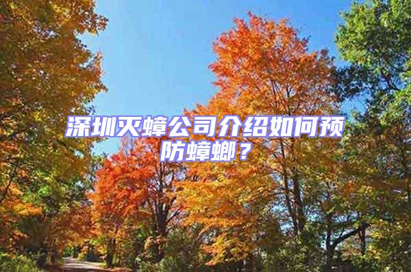 深圳滅蟑公司介紹如何預(yù)防蟑螂?