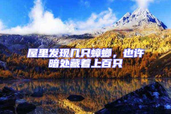 屋里發現幾只蟑螂，也許暗處藏著上百只