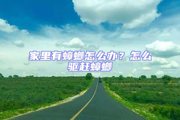 家里有蟑螂怎么辦?怎么驅(qū)趕蟑螂