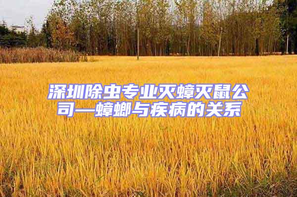 深圳除蟲(chóng)專(zhuān)業(yè)滅蟑滅鼠公司—蟑螂與疾病的關(guān)系