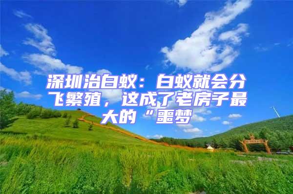 深圳治白蟻:白蟻就會分飛繁殖,這成了老房子最大的“噩夢