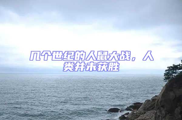 幾個世紀的人鼠大戰，人類并未獲勝