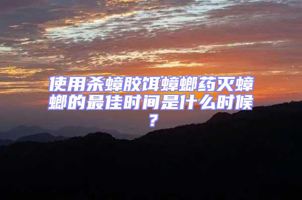 使用殺蟑膠餌蟑螂藥滅蟑螂的最佳時間是什么時候？