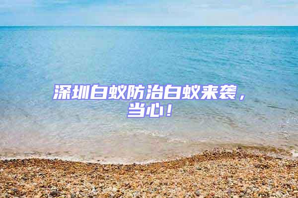 深圳白蟻防治白蟻來(lái)襲,當(dāng)心!