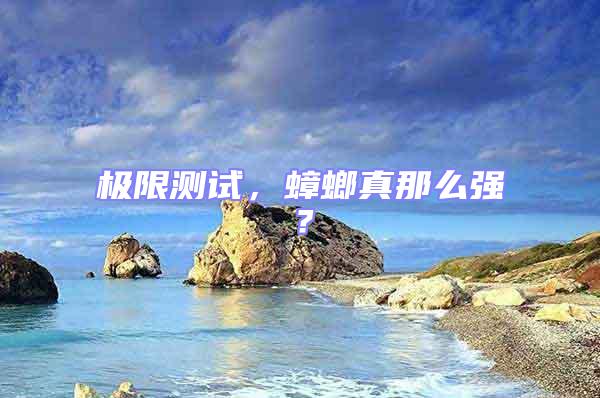 極限測試,蟑螂真那么強(qiáng)?