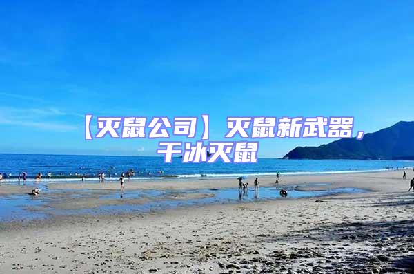 【滅鼠公司】滅鼠新武器,干冰滅鼠