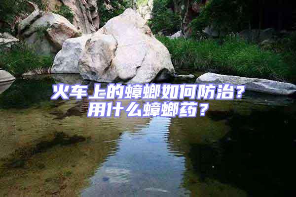 火車上的蟑螂如何防治？用什么蟑螂藥？