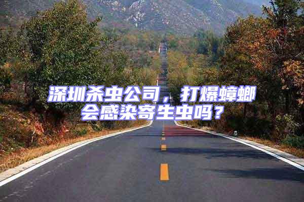 深圳殺蟲公司,打爆蟑螂會感染寄生蟲嗎?