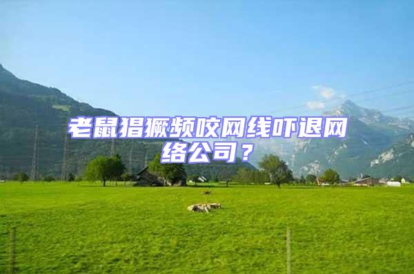 老鼠猖獗頻咬網線嚇退網絡公司?