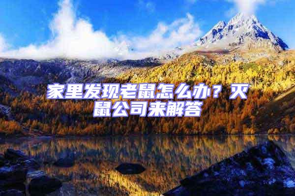 家里發現老鼠怎么辦?滅鼠公司來解答