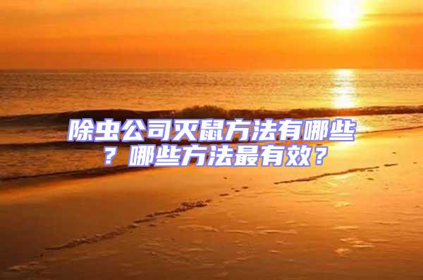 除蟲公司滅鼠方法有哪些？哪些方法最有效？