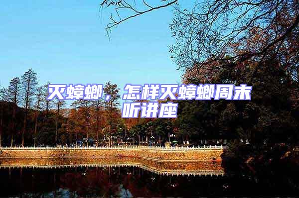 滅蟑螂,怎樣滅蟑螂周末聽講座