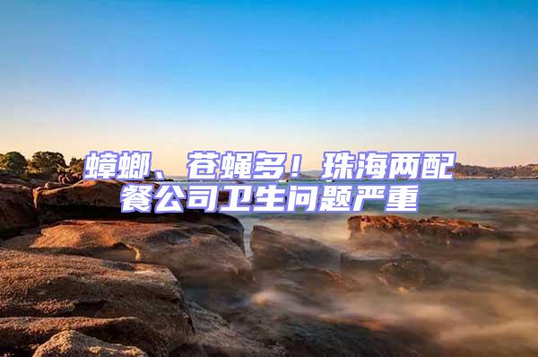 蟑螂、蒼蠅多!珠海兩配餐公司衛生問題嚴重