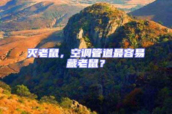 滅老鼠,空調管道最容易藏老鼠?