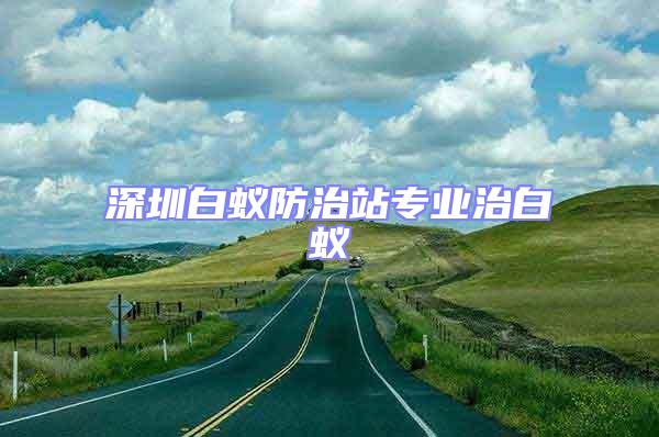 深圳白蟻防治站專業(yè)治白蟻