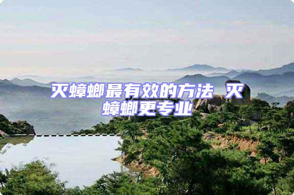 滅蟑螂最有效的方法 滅蟑螂更專業(yè)