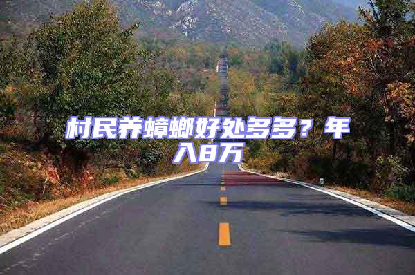 村民養蟑螂好處多多?年入8萬