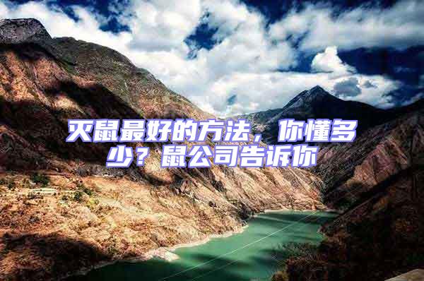 滅鼠最好的方法,你懂多少?鼠公司告訴你