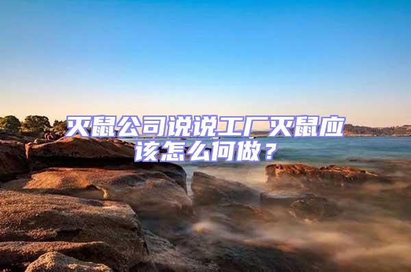 滅鼠公司說說工廠滅鼠應該怎么何做?