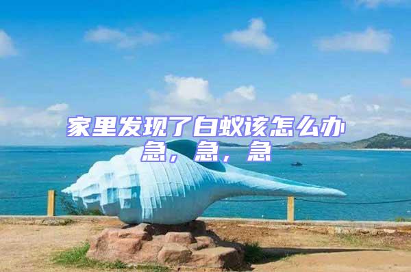 家里發(fā)現(xiàn)了白蟻該怎么辦急，急，急